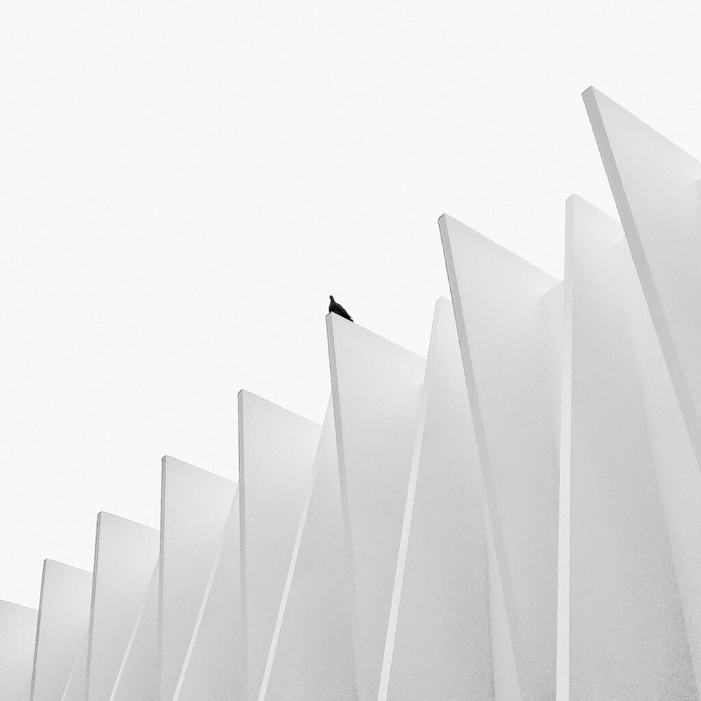 An abstract view of modern minimalist architecture featuring a bird perched atop.